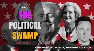Unmasking the Political Swamp: Power Players and Hidden Agendas