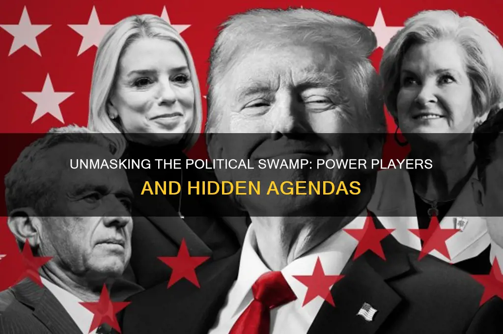 who is the political swamp