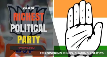 Unveiling the Wealthiest Political Party: A Global Financial Power Analysis