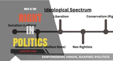 Navigating Political Ideologies: Understanding Who's Right and Why
