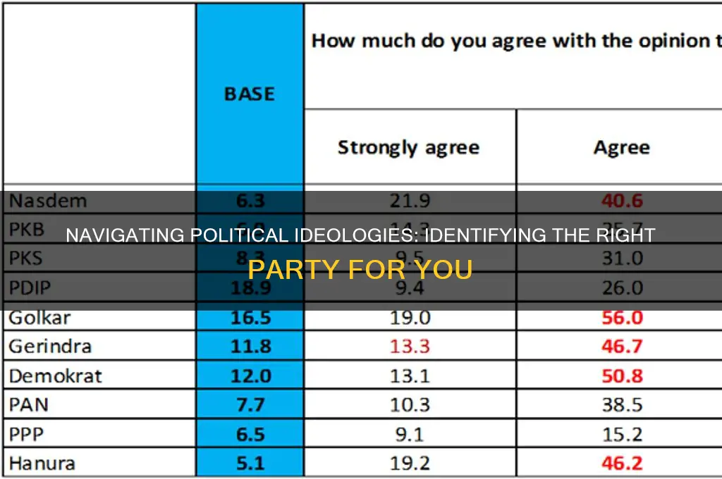 who is the right party in politics
