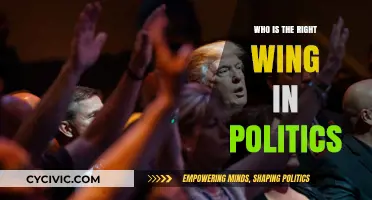 Understanding the Right Wing: A Comprehensive Guide to Conservative Politics