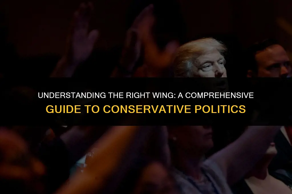 who is the right wing in politics