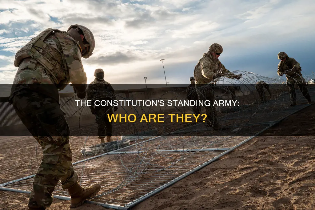 who is the standing army in the constitution