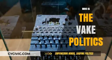 Unmasking the Vake: Exploring the Enigma of Vake Politics