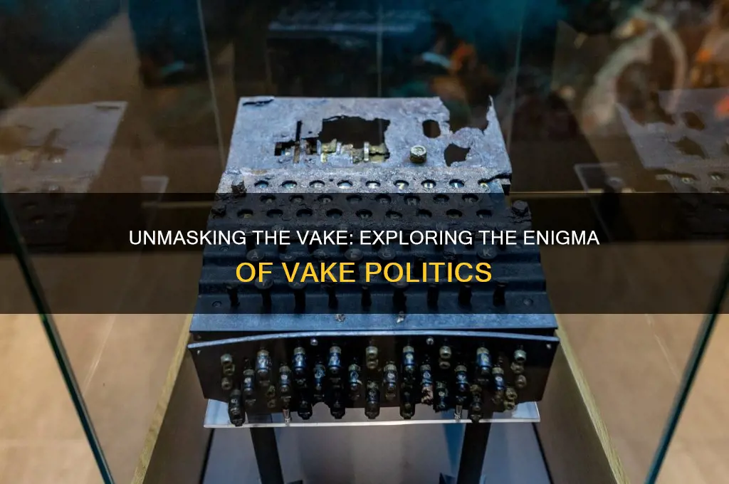 who is the vake politics