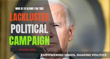 Lackluster Campaigns: Who's to Blame?