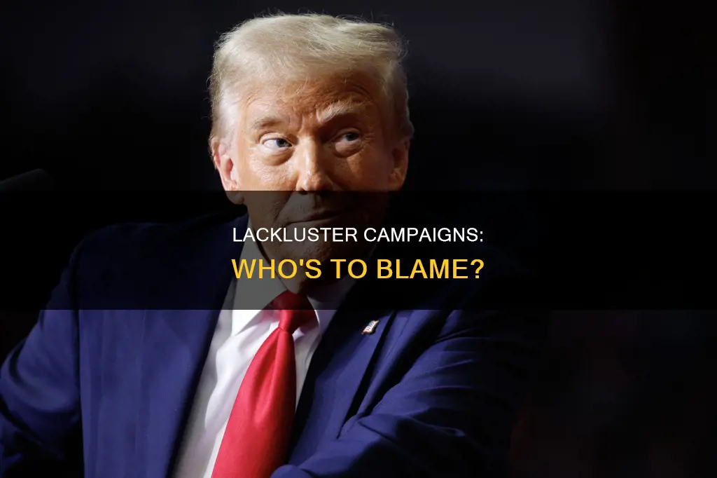 who is to blame for this lackluster political campaign