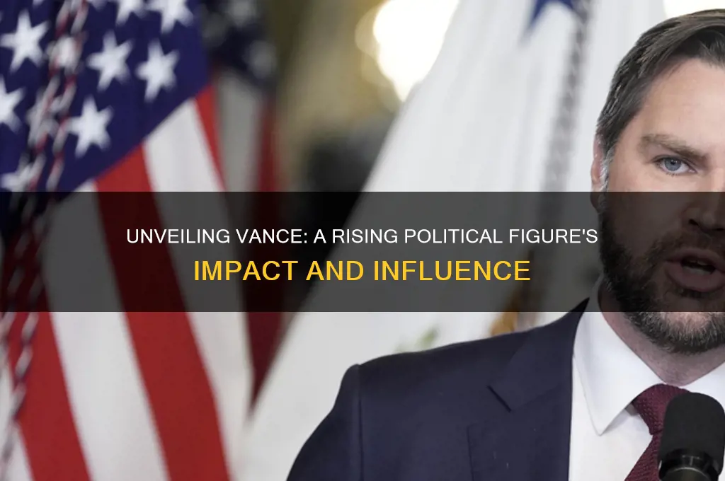 who is vance in politics