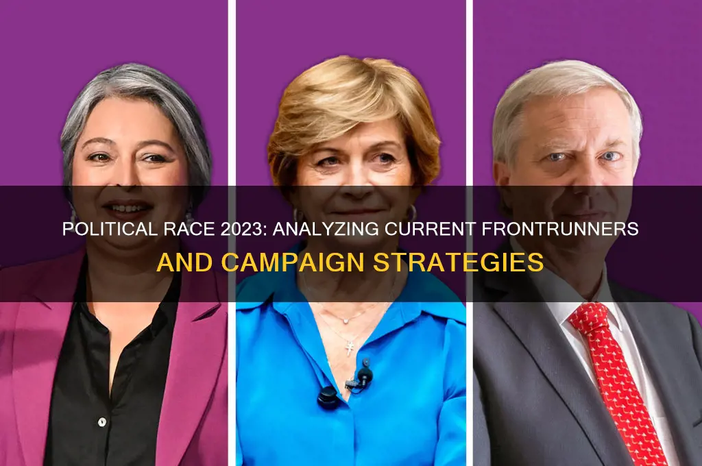 who is winning political race