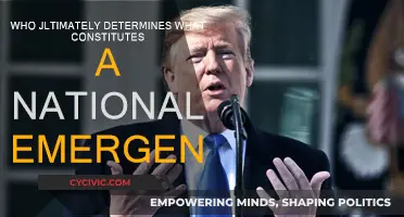 Who Declares a National Emergency?