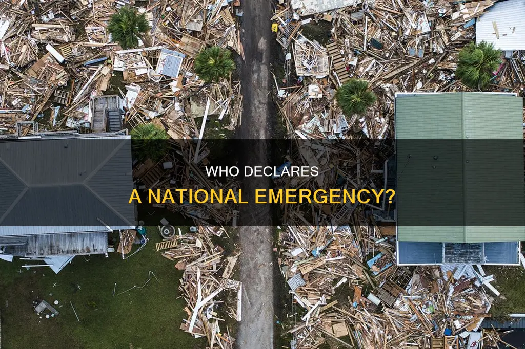 who jltimately determines what constitutes a national emergency