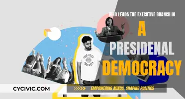 The President: Leading the Executive Branch in Democracy