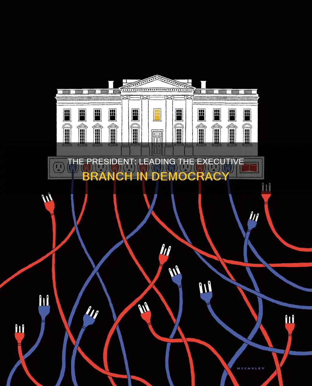 who leads the executive branch in a presidenal democracy