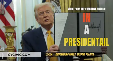 Who Really Leads the Executive Branch?