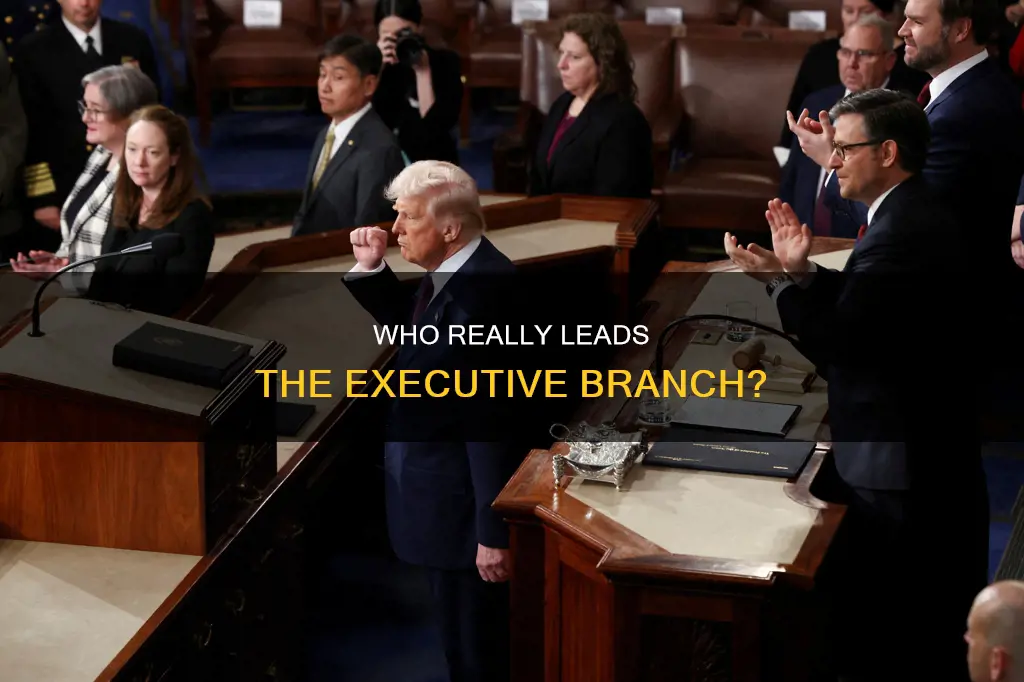 who leads the executive branch in a presidentaildemocracy