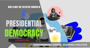The President: Leading the Executive Branch in Democracy