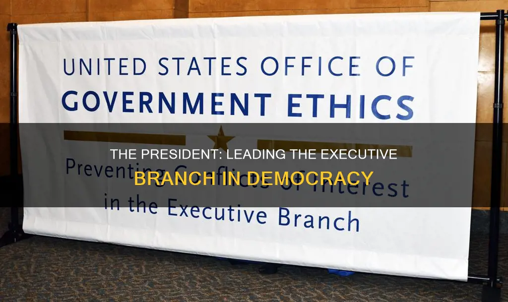 who leads the executive branch in a presidential democracy
