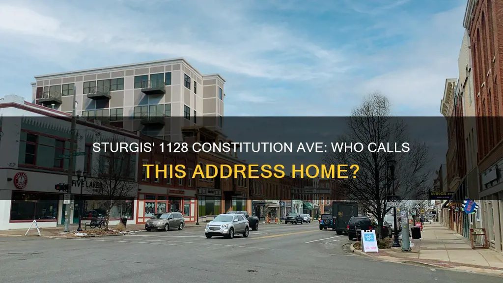 who lives at 1128 constitution ave sturgis mi
