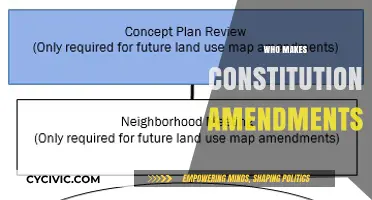 Amending the Constitution: Who Has the Power?