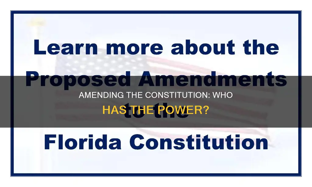 who makes constitutional amendments