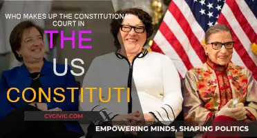 The US Constitutional Court: Who Are They?