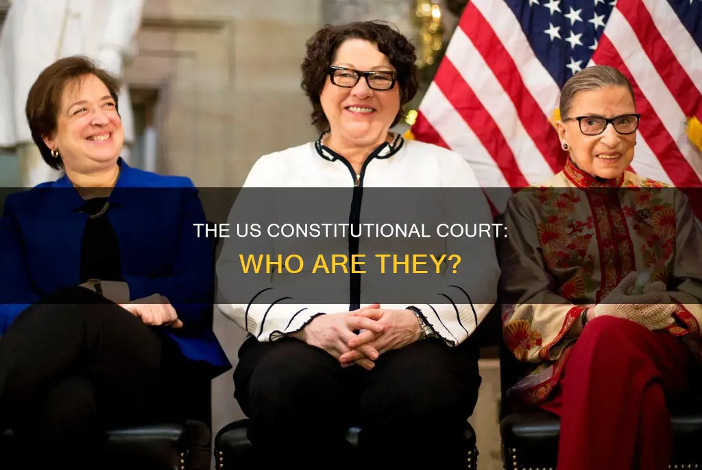 who makes up the constitutional court in the us constitution
