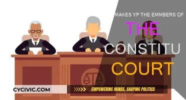 Who Elects the Constitutional Court Members?