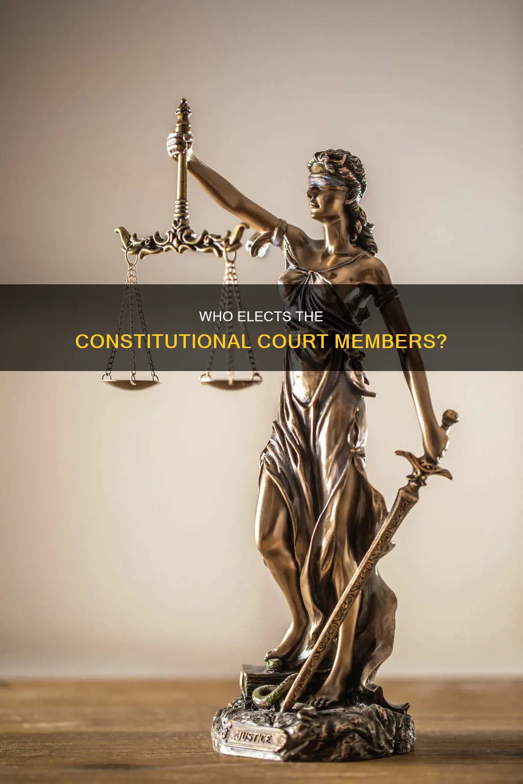 who makes yp the emmbers of the constitutional court