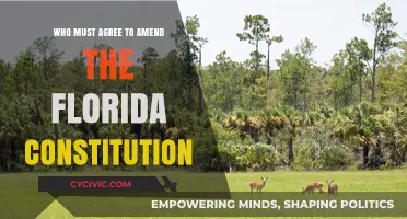 Floridians Decide: Amending the Sunshine State Constitution