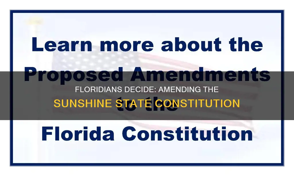 who must agree to amend the florida constitution