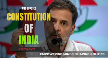 Opposition to India's Constitution: Who Fought Against It?