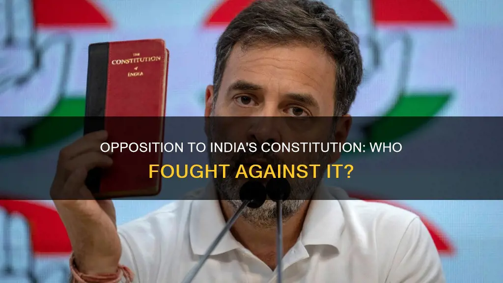 who opposed constitution of india