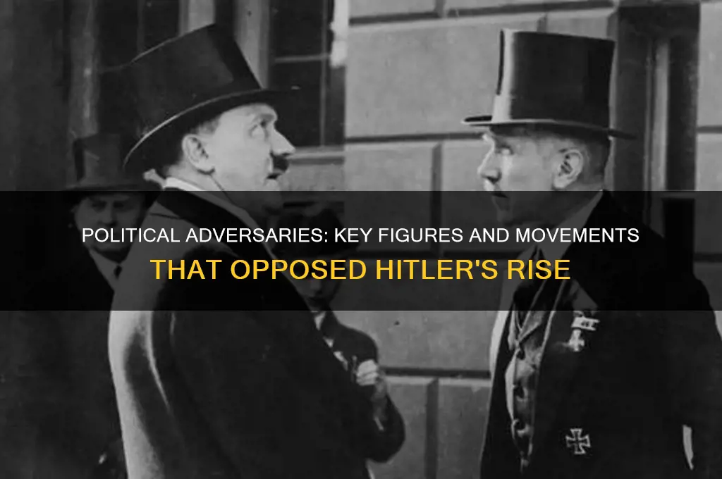 who opposed hitler politically