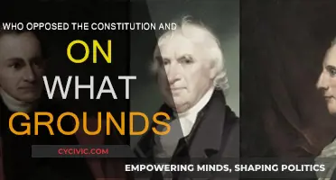 Opposition to the Constitution: Why and Who?