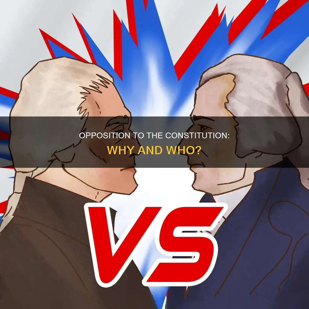 who opposed the constitution and on what grounds