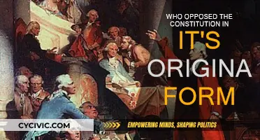 Opposition to the Constitution: Who and Why?