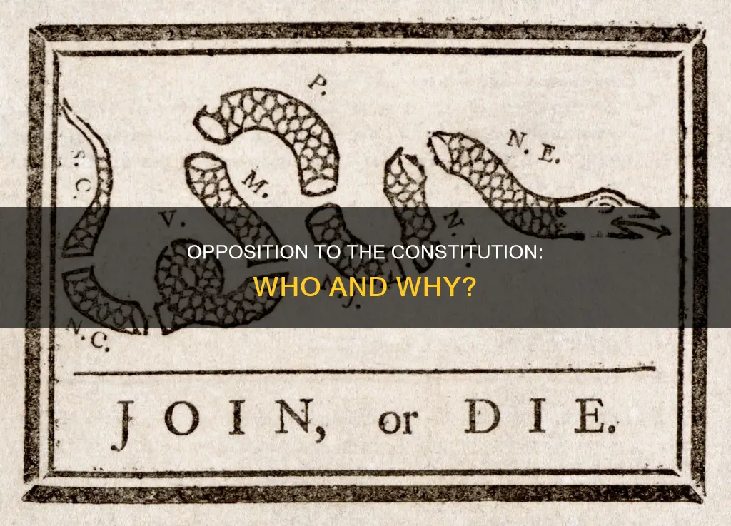 who opposed the constitution in it