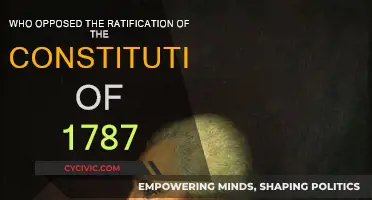 Why Some Opposed the Constitution's Ratification