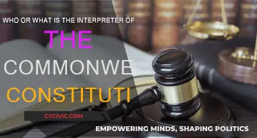 The Ultimate Interpreter: Understanding the Commonwealth Constitution