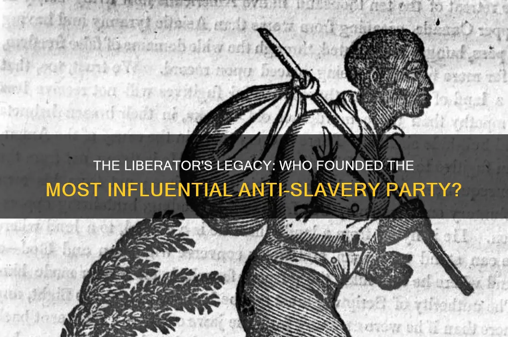 who organized the most anti slavery political party