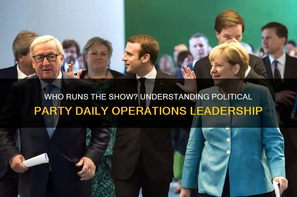 who oversees the day-to-day operations of a political party