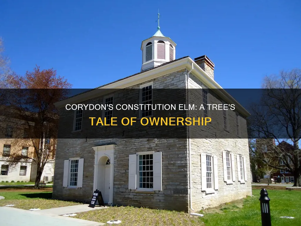 who owned the constitution elm in corydon indiana