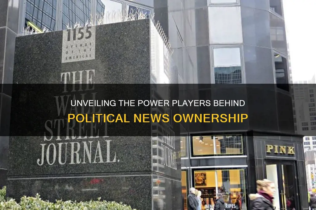 who owns political news