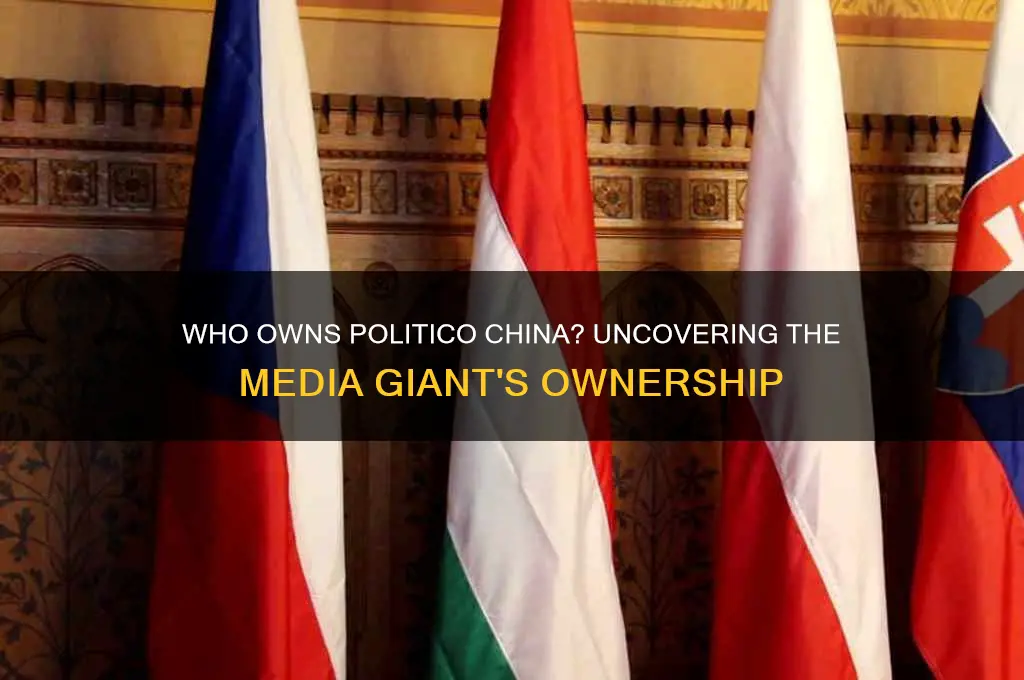 who owns politico china