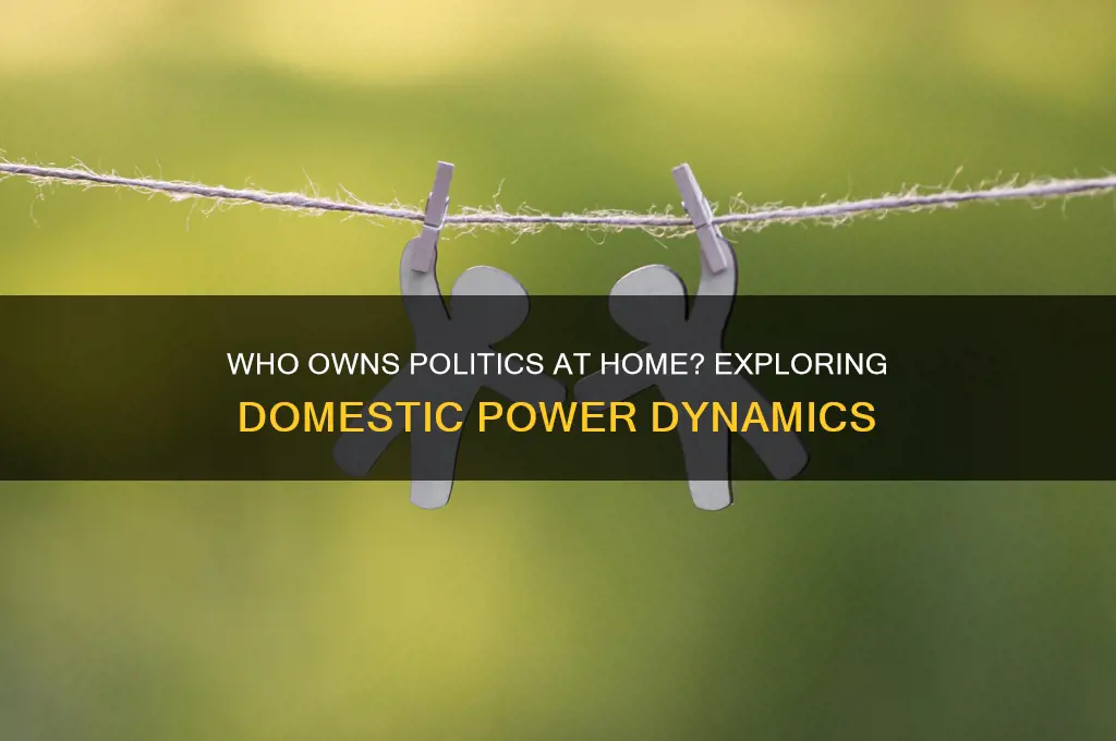 who owns politics home