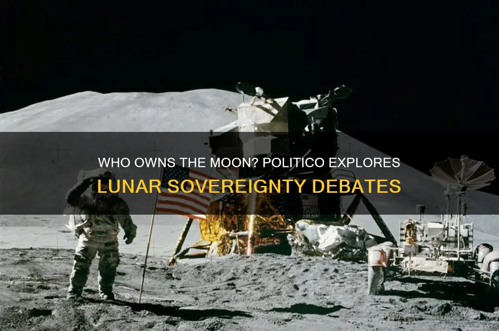 who owns the moon politico