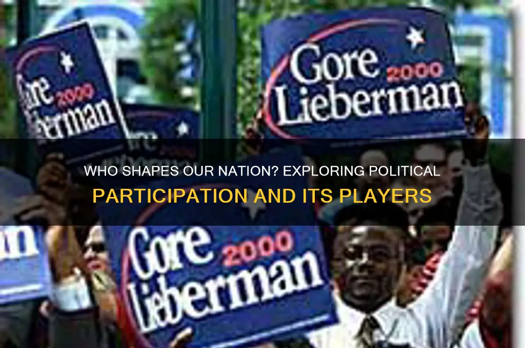 who participates in politics