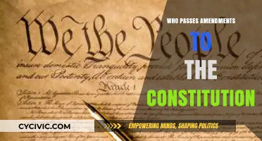 Amending the Constitution: Who Holds the Power?
