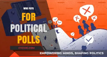 Who Funds Political Polls? Uncovering the Hidden Costs of Public Opinion